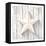 White Star with 3D Effect on White Wood, Christmas Motive, Vector Illustration, Eps 10 with Transpa-Anikakodydkova-Framed Stretched Canvas