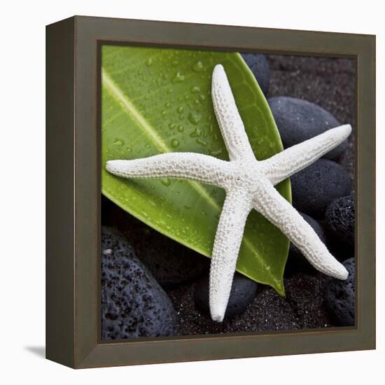 White Starfish on Green Leaf-Uwe Merkel-Framed Premier Image Canvas