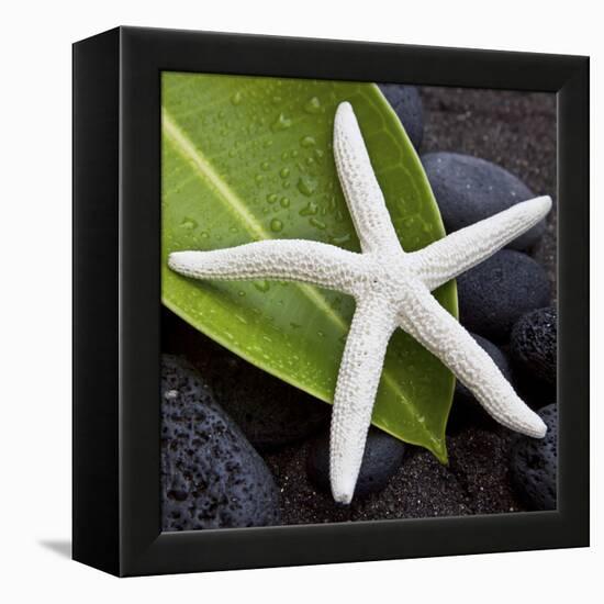 White Starfish on Green Leaf-Uwe Merkel-Framed Premier Image Canvas