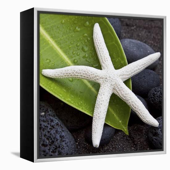White Starfish on Green Leaf-Uwe Merkel-Framed Premier Image Canvas