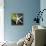 White Starfish on Green Leaf-Uwe Merkel-Framed Premier Image Canvas displayed on a wall