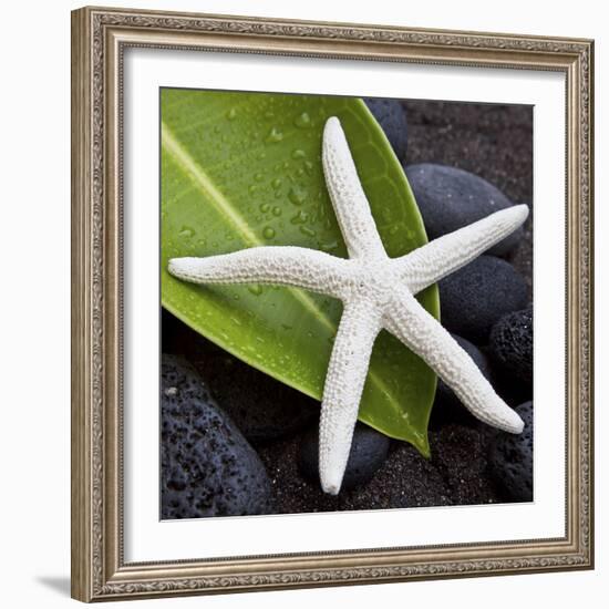 White Starfish on Green Leaf-Uwe Merkel-Framed Photographic Print