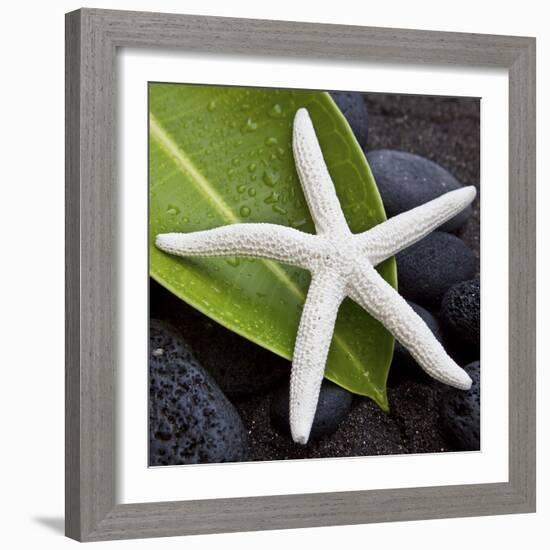 White Starfish on Green Leaf-Uwe Merkel-Framed Photographic Print