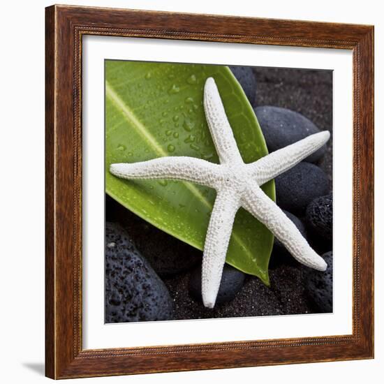 White Starfish on Green Leaf-Uwe Merkel-Framed Photographic Print