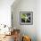 White Starfish on Green Leaf-Uwe Merkel-Framed Photographic Print displayed on a wall