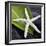 White Starfish on Green Leaf-Uwe Merkel-Framed Photographic Print