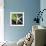 White Starfish on Green Leaf-Uwe Merkel-Framed Photographic Print displayed on a wall