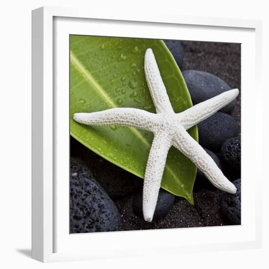 White Starfish on Green Leaf-Uwe Merkel-Framed Photographic Print