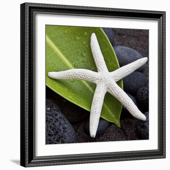 White Starfish on Green Leaf-Uwe Merkel-Framed Photographic Print