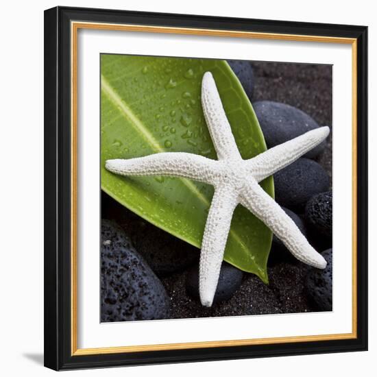 White Starfish on Green Leaf-Uwe Merkel-Framed Photographic Print