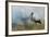 White Stork (Ciconia Ciconia) Hunting and Feeding at the Edge of a Bushfire-Denis-Huot-Framed Photographic Print