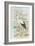 White Stork-null-Framed Art Print