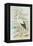 White Stork-null-Framed Stretched Canvas