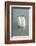 White swan-Jim Engelbrecht-Framed Photographic Print