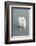 White swan-Jim Engelbrecht-Framed Photographic Print