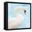 White Swan-Gail Peck-Framed Stretched Canvas