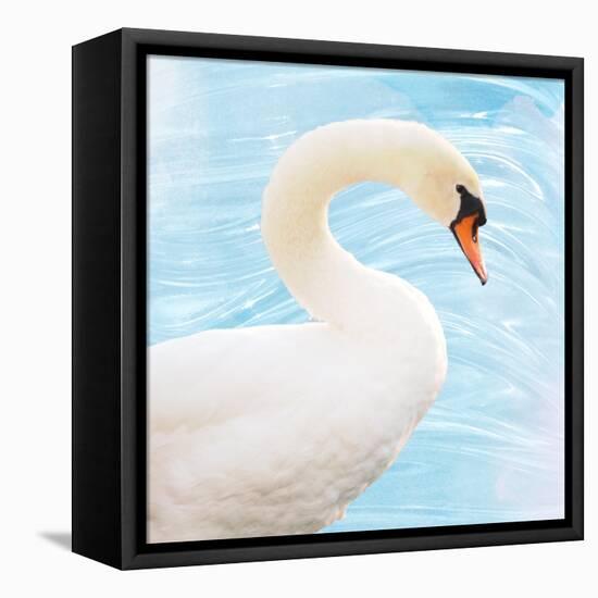 White Swan-Gail Peck-Framed Stretched Canvas