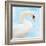 White Swan-Gail Peck-Framed Art Print