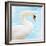 White Swan-Gail Peck-Framed Art Print