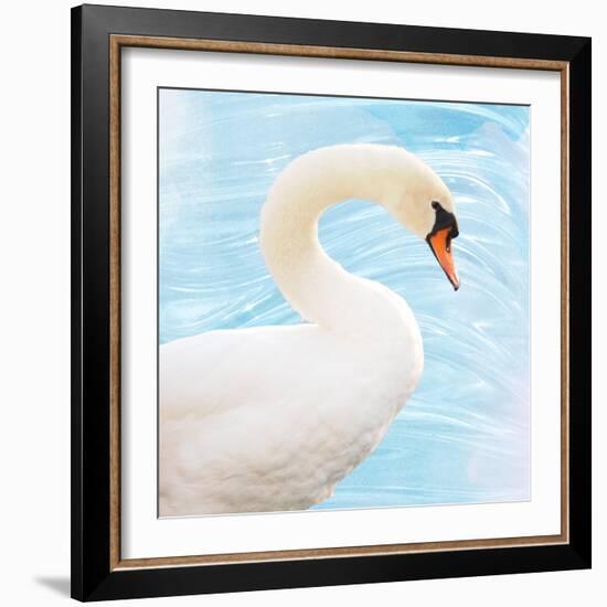 White Swan-Gail Peck-Framed Art Print