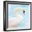 White Swan-Gail Peck-Framed Art Print