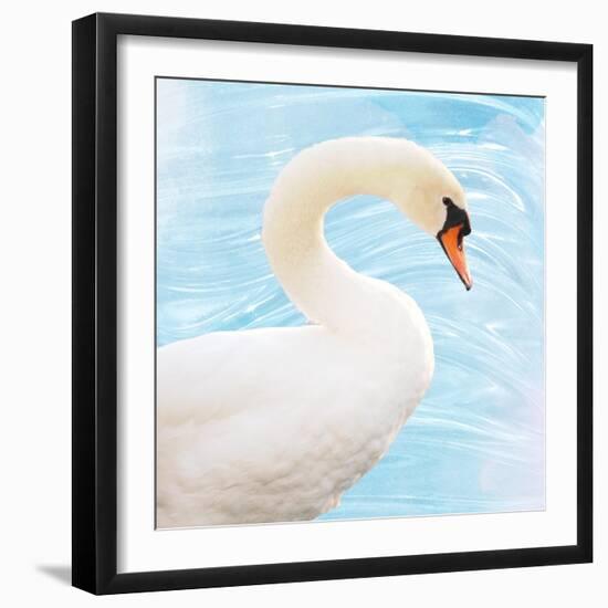 White Swan-Gail Peck-Framed Art Print