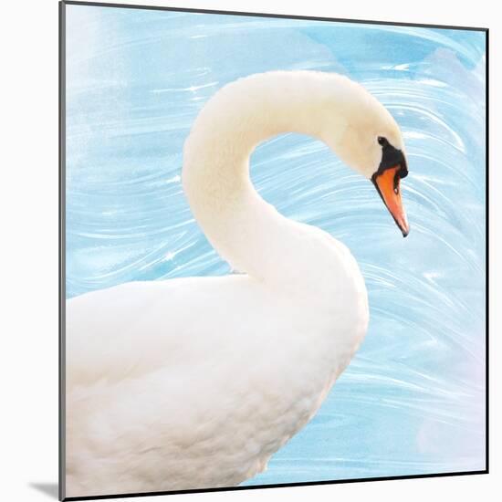 White Swan-Gail Peck-Mounted Art Print