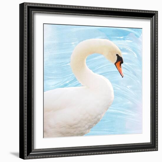 White Swan-Gail Peck-Framed Art Print