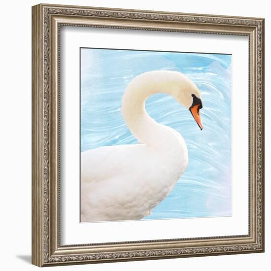 White Swan-Gail Peck-Framed Art Print