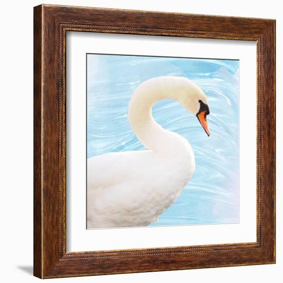 White Swan-Gail Peck-Framed Art Print