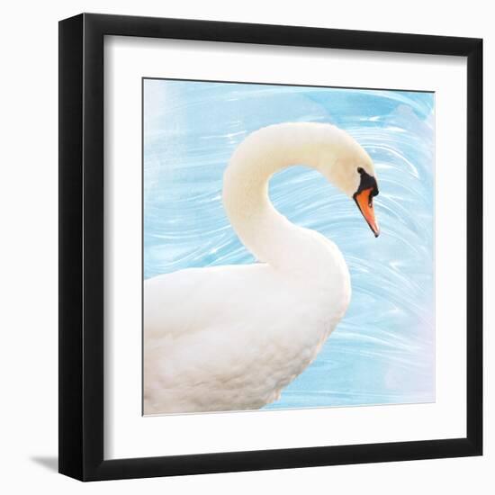 White Swan-Gail Peck-Framed Art Print