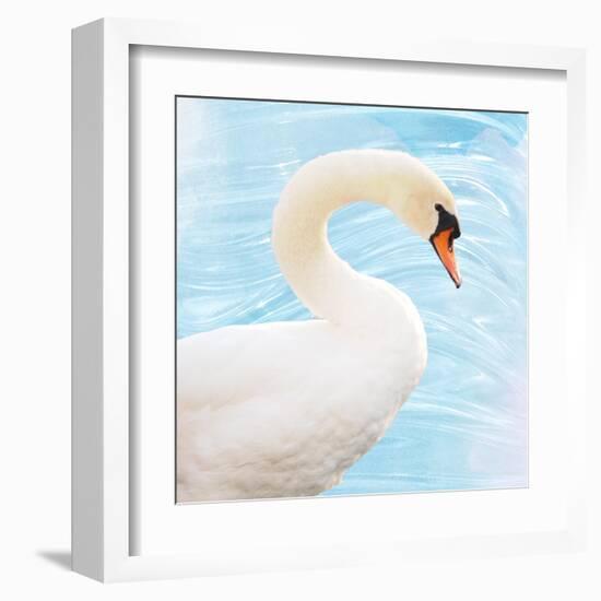 White Swan-Gail Peck-Framed Art Print