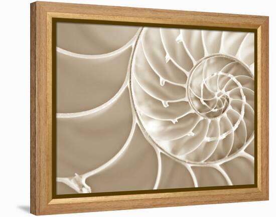 White Swirls-Doug Chinnery-Framed Premier Image Canvas