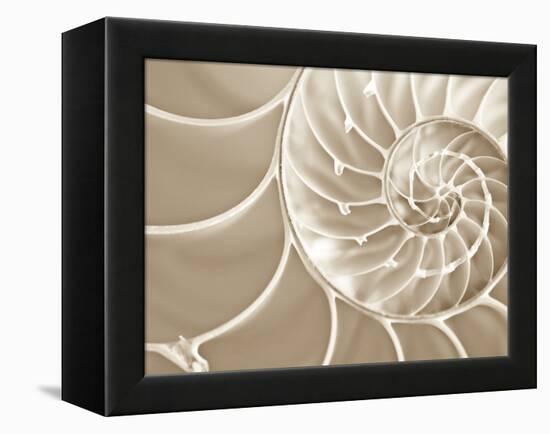 White Swirls-Doug Chinnery-Framed Premier Image Canvas