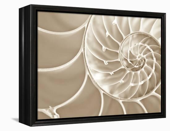 White Swirls-Doug Chinnery-Framed Premier Image Canvas