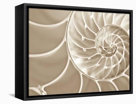 White Swirls-Doug Chinnery-Framed Premier Image Canvas