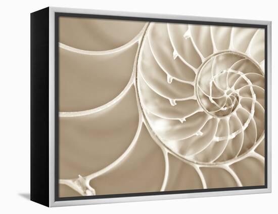 White Swirls-Doug Chinnery-Framed Premier Image Canvas