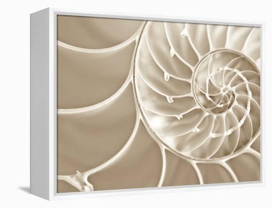 White Swirls-Doug Chinnery-Framed Premier Image Canvas