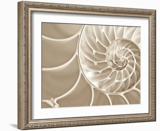 White Swirls-Doug Chinnery-Framed Photographic Print