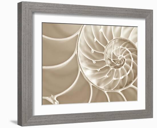 White Swirls-Doug Chinnery-Framed Photographic Print