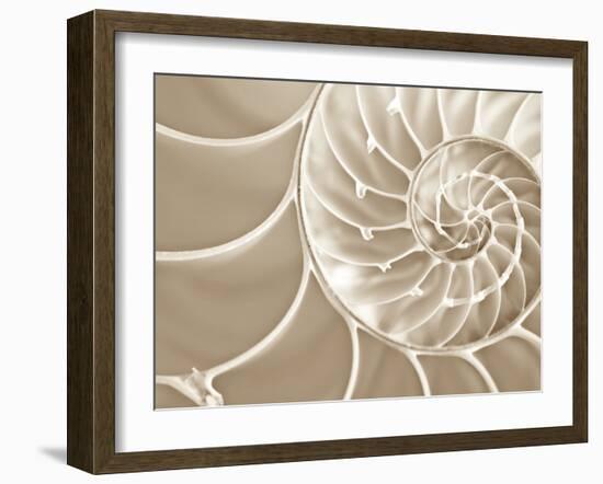 White Swirls-Doug Chinnery-Framed Photographic Print