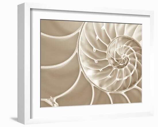 White Swirls-Doug Chinnery-Framed Photographic Print