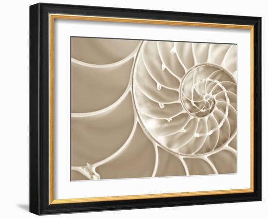 White Swirls-Doug Chinnery-Framed Photographic Print