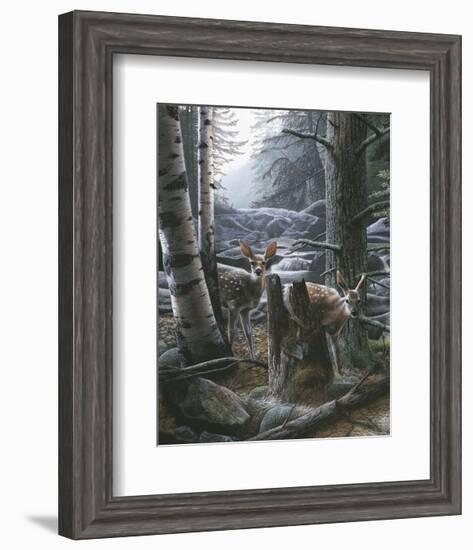 White Tail Fawns-Kevin Daniel-Framed Art Print