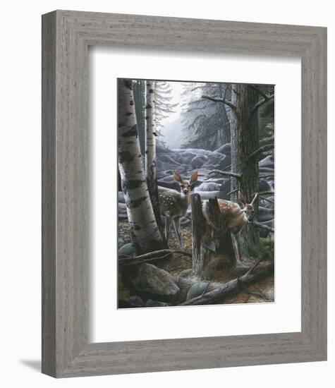 White Tail Fawns-Kevin Daniel-Framed Art Print