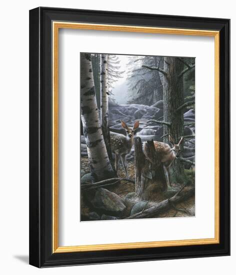 White Tail Fawns-Kevin Daniel-Framed Art Print