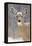 White-Tailed Deer Doe in Winter Snow-null-Framed Premier Image Canvas