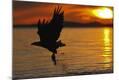 Photographic Print