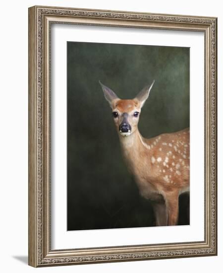 White Tailed Fawn Portrait-Jai Johnson-Framed Giclee Print