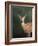 White Tailed Fawn Portrait-Jai Johnson-Framed Giclee Print
